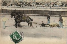 CPA Corrida Course de taureaux 