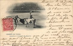 Vintage Postcard Bullfight Bullfight Bonarillo Pasando de Muleta