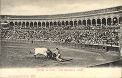Vintage Postcard Corrida Bullfight Una estocada has volapie