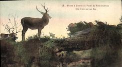 CPA Chasse a courre en Foret de Fontainebleau Dix Cors sur ses fins Cerf