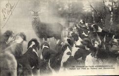 CPA Chasse a courre Chasses en Foret D'Ermenonville Hallai sur pied au poteau des gendarmes