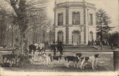 Vintage Postcard Chasse has courre in the drill of Dreux the house of return of hunting Chiens Dog