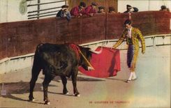 CPA Corrida Course de taureaux 