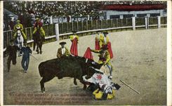 CPA Corrida Course de taureaux 