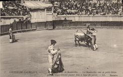 CPA Corrida Course de taureaux Une bonne pose de banderilles 