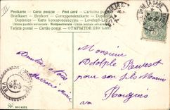 CPA Sabot Fantaisie Trefles Fleurs 