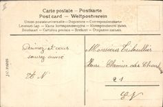 CPA Sabot Fantaisie Poussins Fleurs 