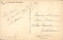 Postal Calzados Interior Normando