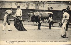 CPA Corrida Course de taureaux L'estocade Le taureau est en bonne position pour recevoir le coup d'epee 
