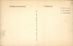 CPA Corrida Course de taureaux L'estocade Le taureau est en bonne position pour recevoir le coup d'epee 