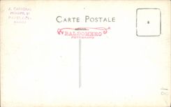 CARTE PHOTO Corrida Course de taureaux 