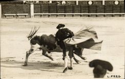 CARTE PHOTO Corrida Course de taureaux 