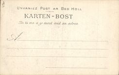 CPA Folklore Jeune fille de Ploare Environs de Douarnenez 