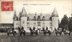 Vintage Postcard Horse Horses Nexon Equestrian sports the castle racehorses
