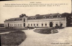 Vintage Postcard Horse Horses Cluny Equestrian sports stud farms