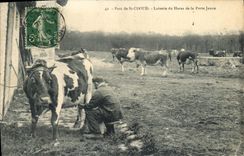 CPA Cheval Chevaux Hippisme Parc de St Cloud Laiterie du haras de la Porte Jaune Vache TOP