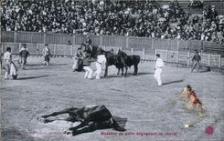 Postal Corrida Curso de toros Matador al quite que retiran a un caballo
