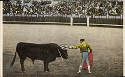 CPA Corrida Course de taureaux 