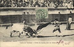 Postal Corrida Curso de toros Entrado del toro en las arenas