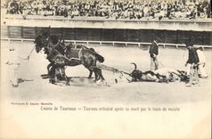 CPA Corrida Course de taureaux Taureau entraine apres sa mort par le train de mulets 