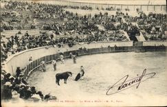 CPA Corrida Course de taureaux Arenes de Beziers La mise a mort 