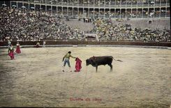 CPA Corrida Course de taureaux Suerte de capa 