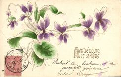 CPA Fantaisie Fleurs 