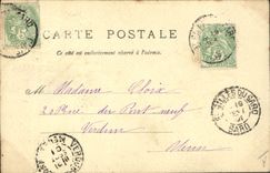 CPA Fantaisie Illustrateur Femme Perroquet 