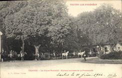 CPA Cheval Equitation Hippisme Tarbes Le Haras National Etalons rentrant de la promenade