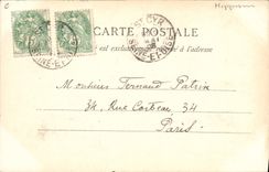 CPA Cheval Equitation Hippisme Triomphe 1902 TOP