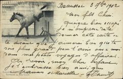 CPA Cheval Equitation Hippisme 