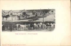 CPA Cheval Equitation Hippisme Camp de Chalons Ferme hippique