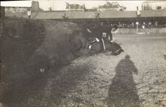 CARTE PHOTO Cheval Equitation Hippisme 