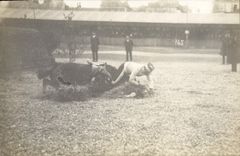 CARTE PHOTO Cheval Equitation Hippisme 