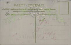 Vintage Postcard Fantasy Flowers co. Catherine