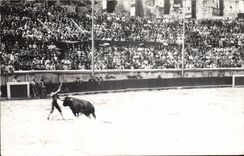 CARTE PHOTO Corrida Course de taureaux 
