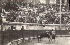 CARTE PHOTO Nimes Corrida Course de taureaux 