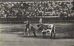 Postal Corrida Curso de toros Citando a matar Sevilla