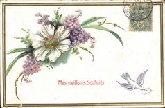 CPA Fantaisie Fleurs Colombe