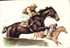 CPA Hippisme Equitation 