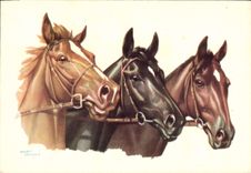 CPA Hippisme Equitation 