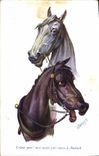 CPA Hippisme Equitation Chevaux Crane pas 