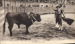 CPA Corrida Course de taureaux Apres l'estocade 
