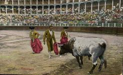 CPA Corrida Course de taureaux Estocade 