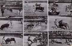 CPA Corrida Course de taureaux avec mise a mort 