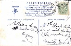 Vintage Postcard Fantasy Woman Cats Kittens