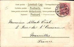 Vintage Postcard Fantasy Child wife Chicks