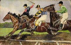 CPA Equitation Hippisme Cheval 