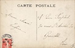 CPA Fantaisie Annee 1909 1910 Cygne 