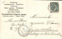 CPA Fantaisie Annee 1907 Fleurs Hirondelles Fer a cheval 